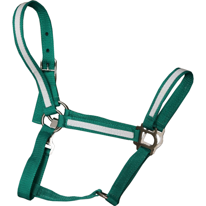Standardbred Halter, Material: NYLON