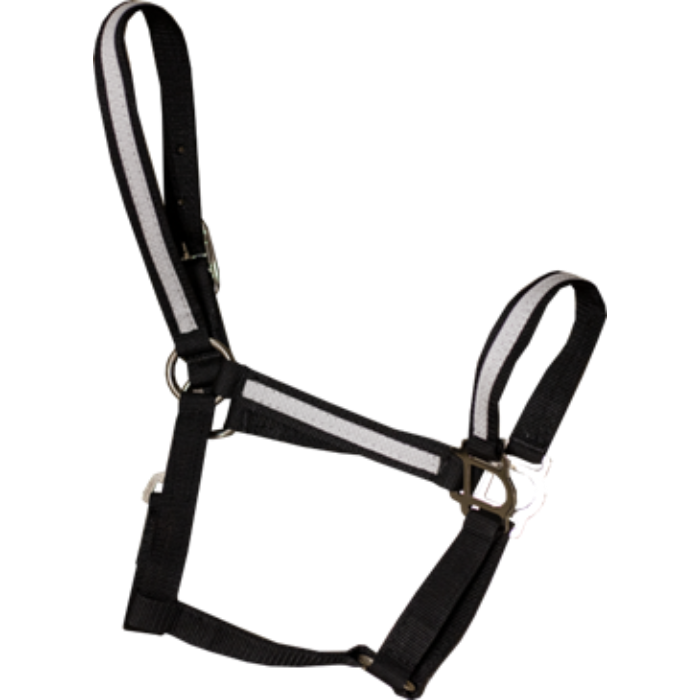 Poly Halter, Type: Yearling