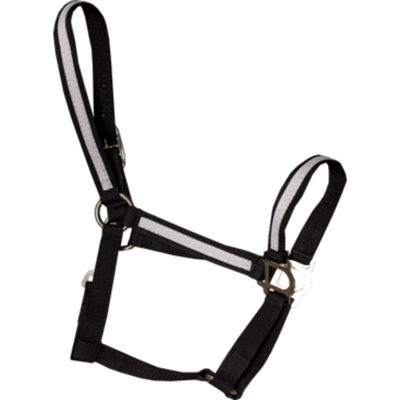 Poly Halter