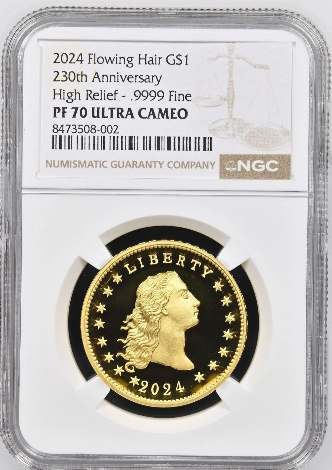 2024 230th Anniversary Flowing Hair High Relief Gold PF70 Ultra Cameo Brown Labe