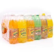 BIGGA  24*355 ML