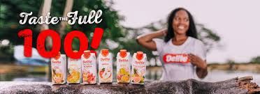 DELITE DK 24*250ML