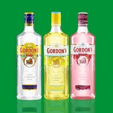 GORDONS GIN 12*750M