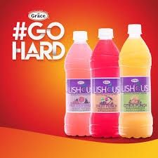 LISHOUS DRINK 24*330ML
