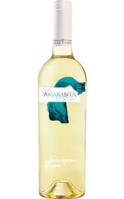Amaranta Sauvignon Blanc 12 Units / 750 ml