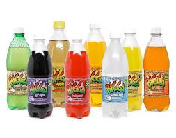 Bigga Assorted Soda 24 Units / 600 ml