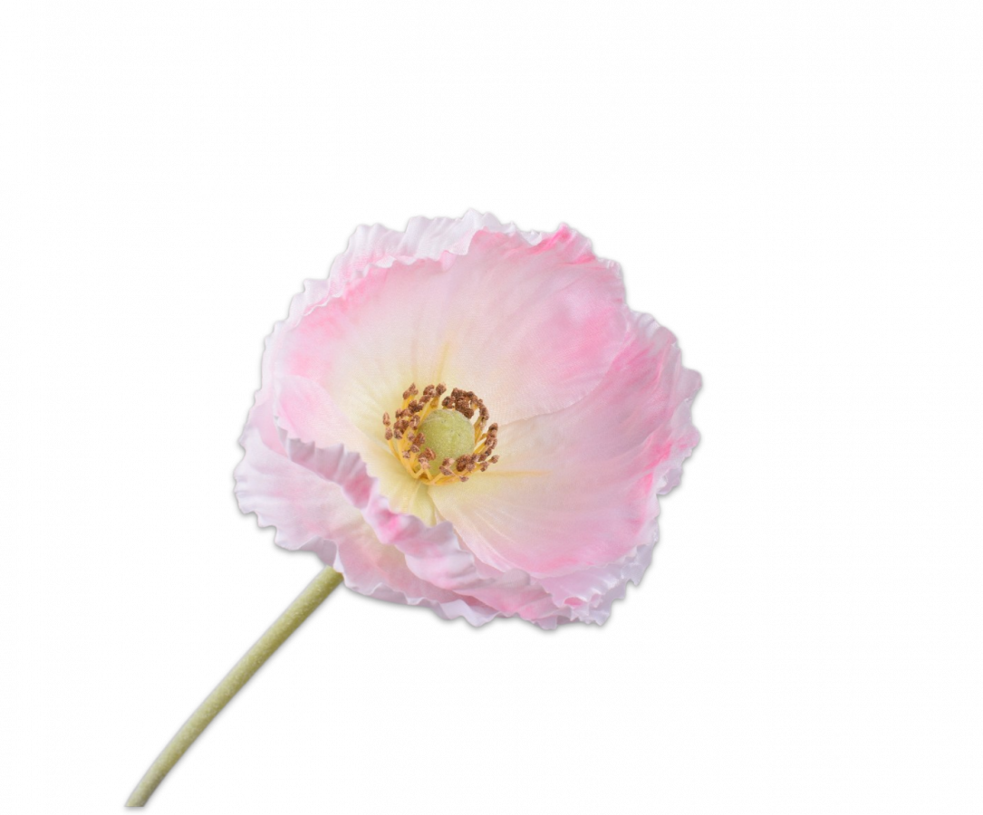 Klaproos steel - roze