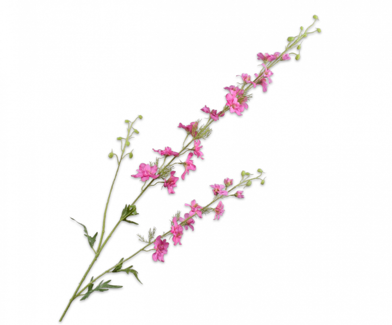Delphinium tak -Roze