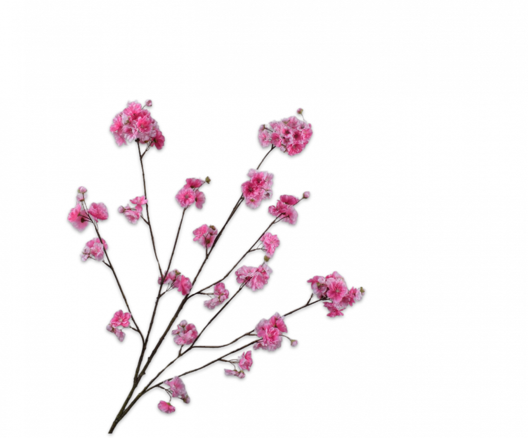 Bloesem tak - Roze