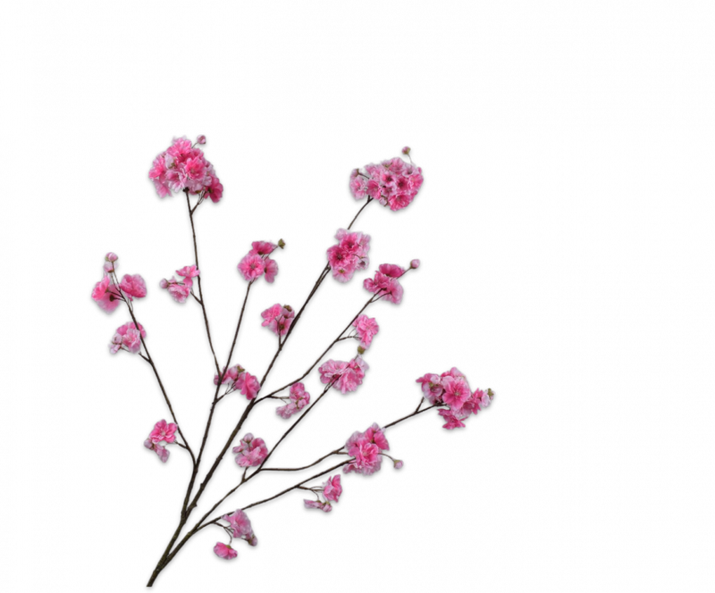 Bloesem tak - Roze