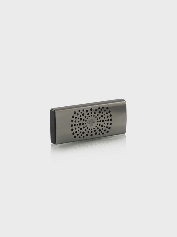 Car diffuser - Platinum
