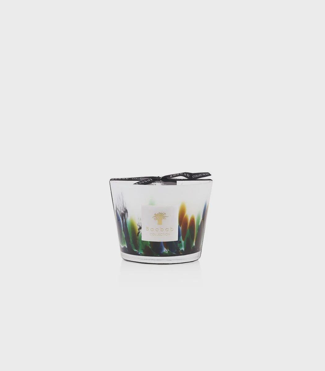 Rainforest Amazonia, Size: Max 10
