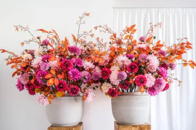 Bloemen en planten