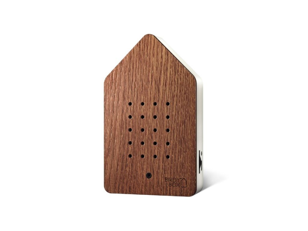Birdybox Steamed Oak
