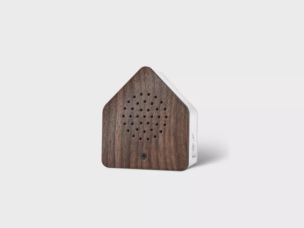 Satellite Nightingale - Walnut