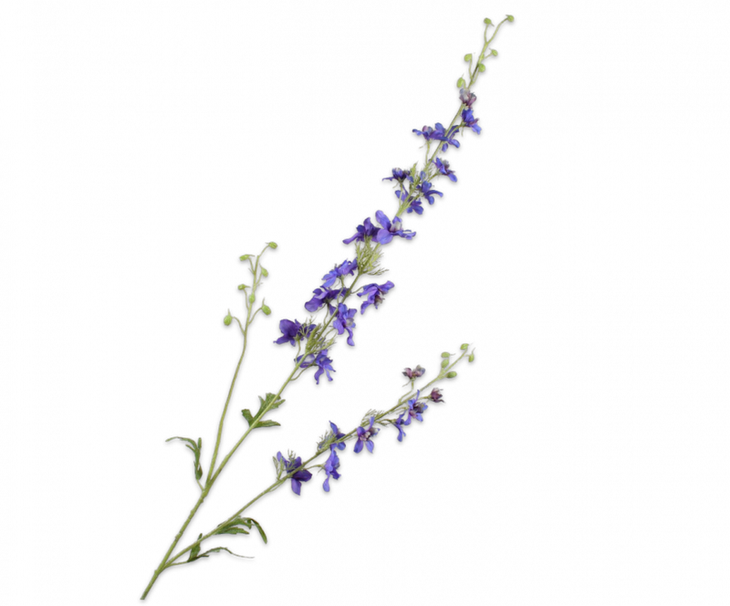 Delphinium tak - Blauw