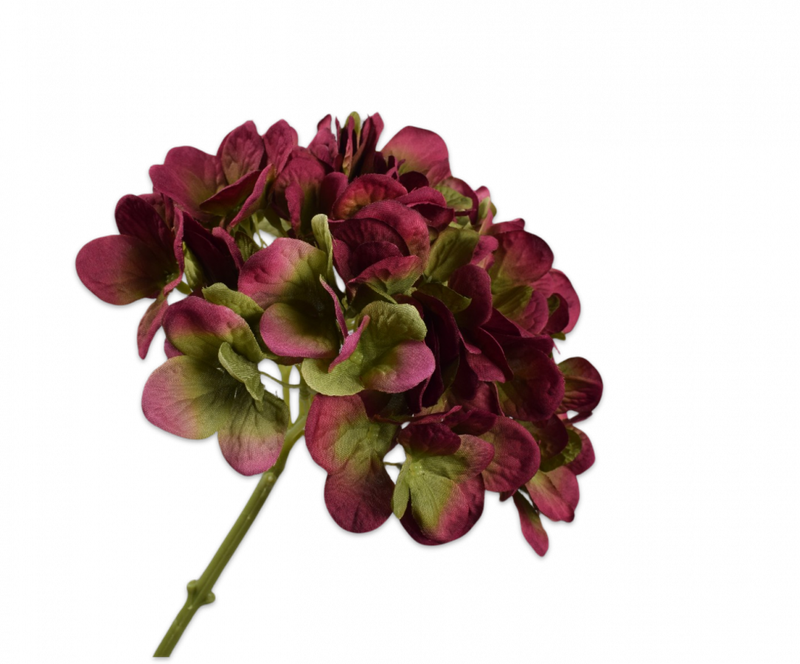 Hortensia steel - Paars/Groen