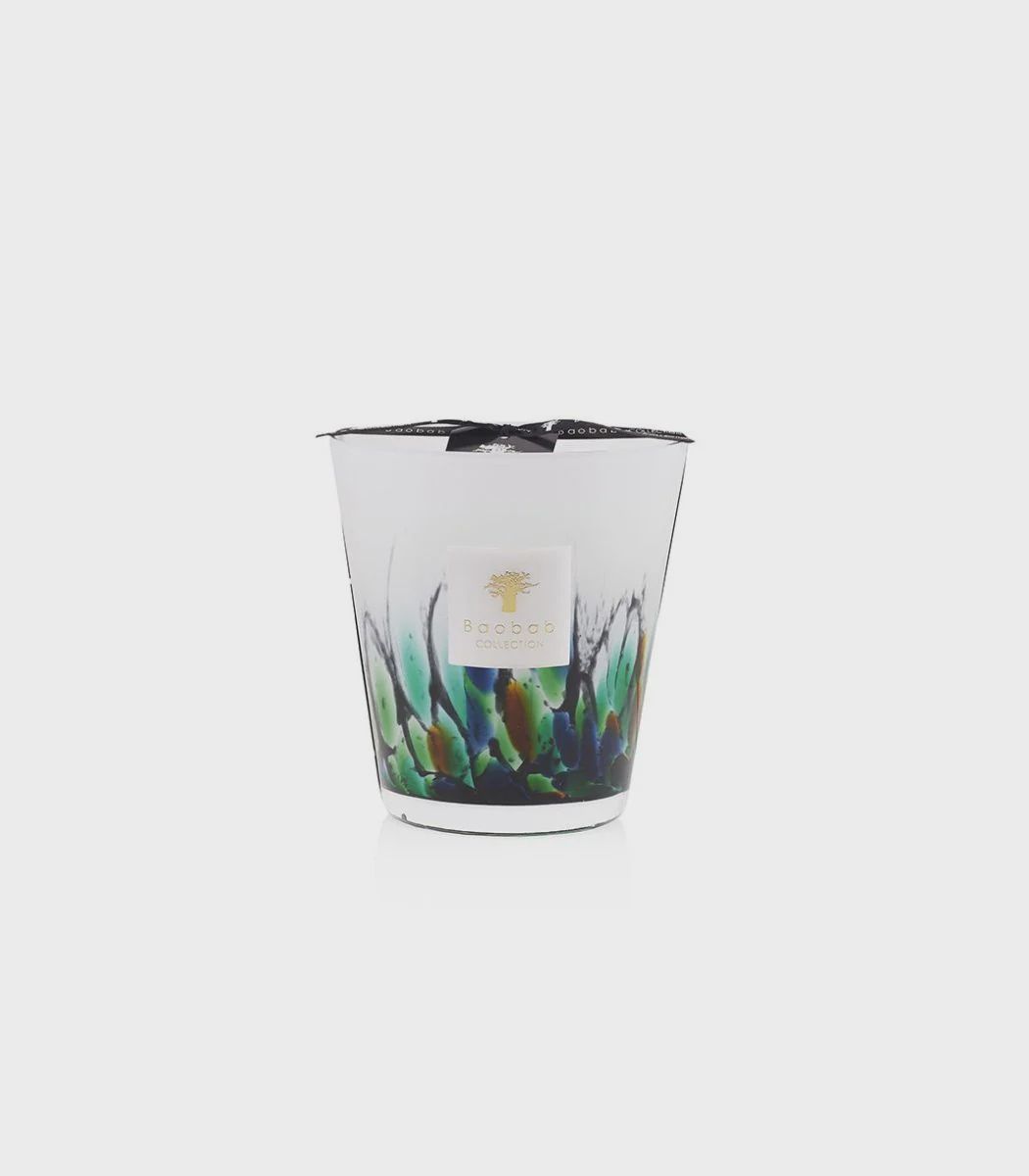 Rainforest Amazonia, Size: Signature