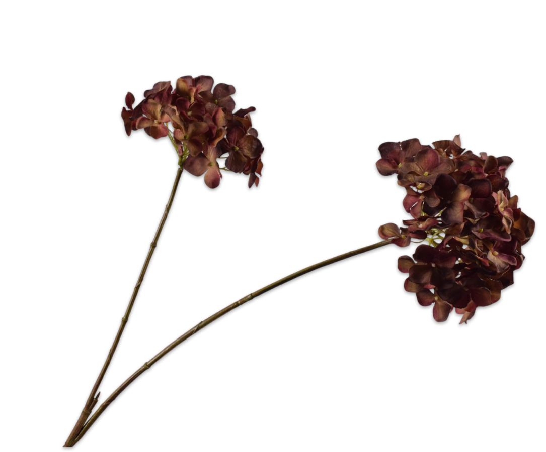 HORTENSIA TAK ROOD/BRUIN 85 cm