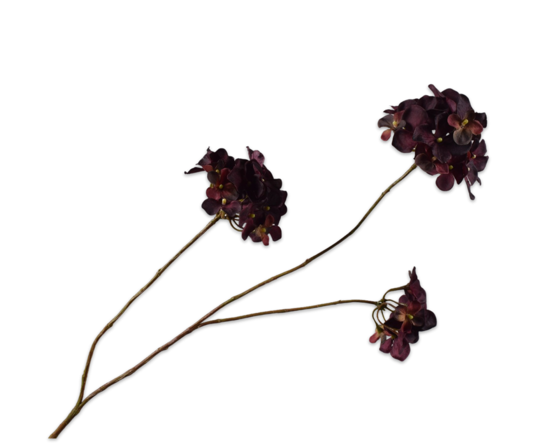 HORTENSIA TAK BORDEAUX 85 cm