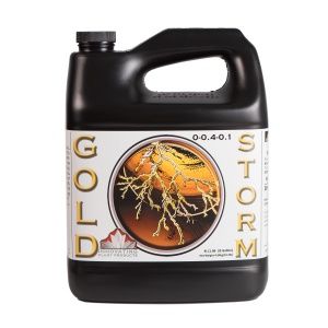 Gold Storm 4L