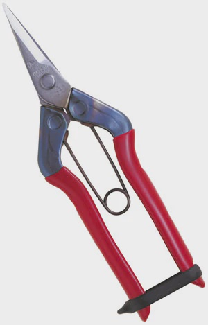 Chikamasa Carbon Steel T-550