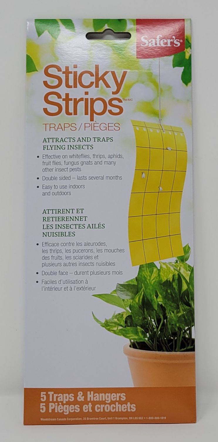 Safers Sticky Strips 5 traps