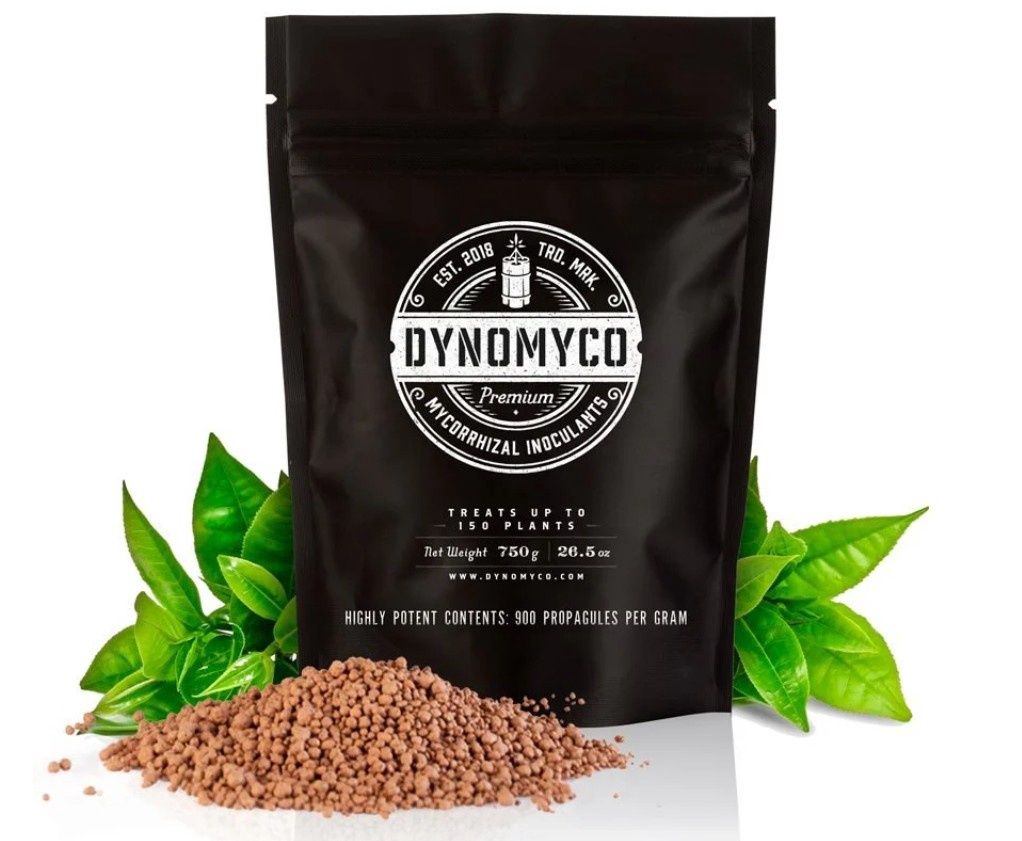 Dyno Myco 750g