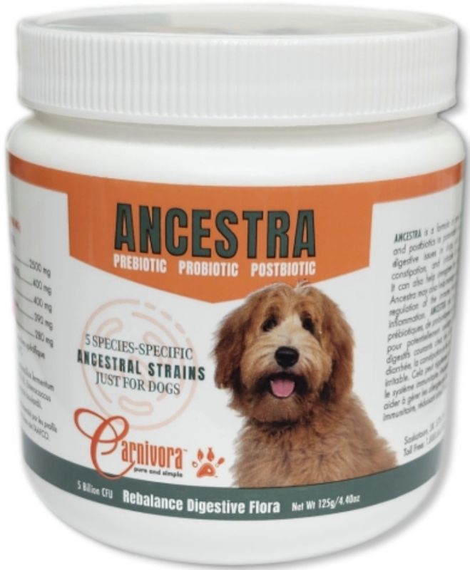 Carnivora Ancestra 125g