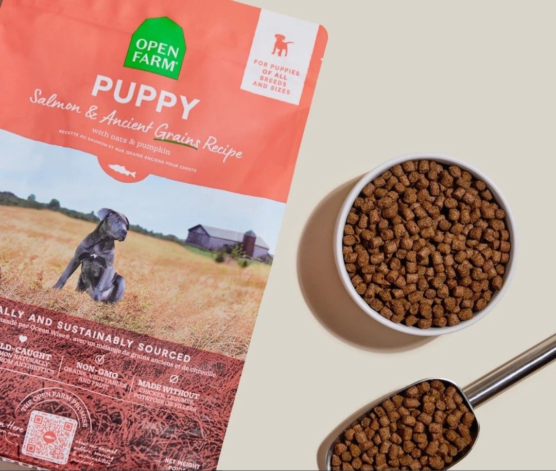 Open Farm Salmon and Ancient Grains Puppy Food 22lb