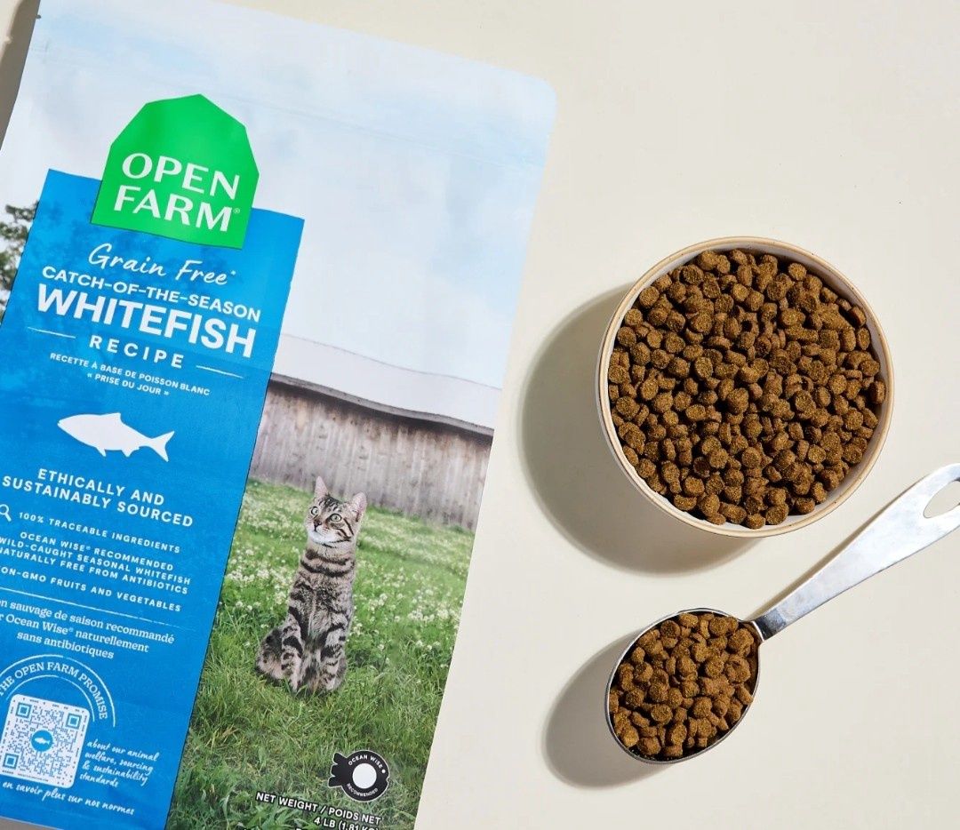Open Farm Grain Free Catch of the Season Whitefish Cat Food 2lb