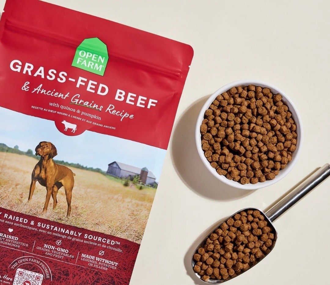Open Farm Grass-Fed Beef and Ancient Grains Dog Food 22lb