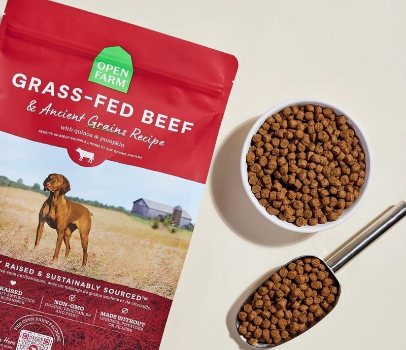 Open Farm Grass-Fed Beef and Ancient Grains Dog Food 22lb