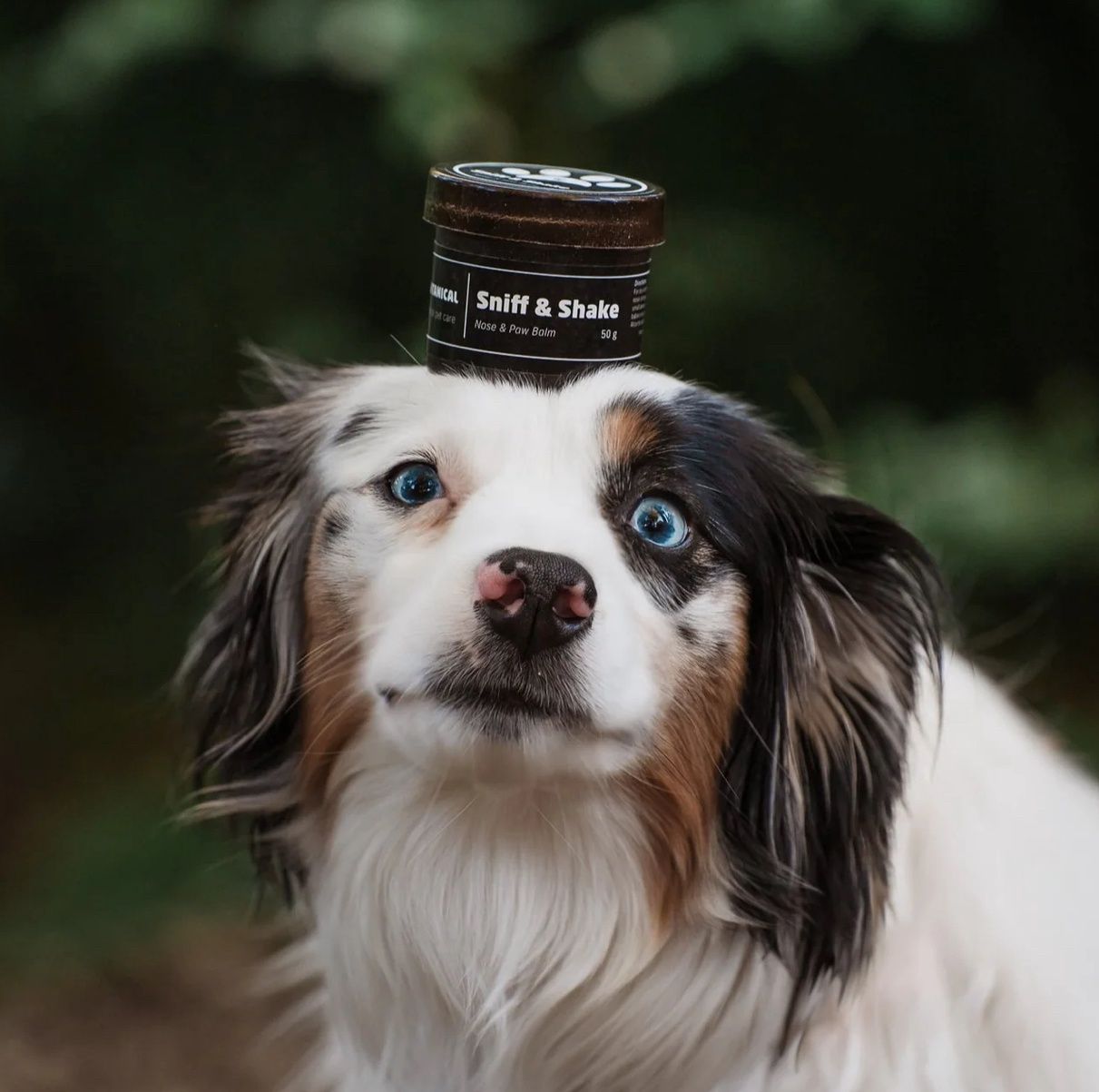 Pawtanical Sniff &amp; Shake 50g