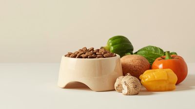 Dehydrated &amp; Air Dried