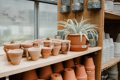 Pots, Containers, and Plant Support