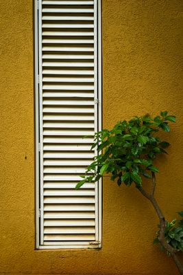 Air Filters and Odor Control