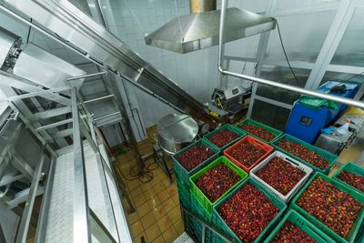 Harvest &amp; Processing