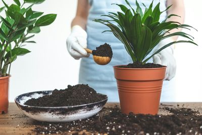 Nutrients, Fertilizer &amp; Ammendments