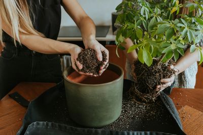 Growing Essentials