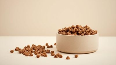 Kibble