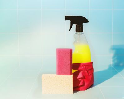 Cleaning &amp; Disinfectants