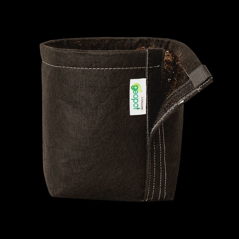 GeoPot w/velcro fabric 2 Gallon