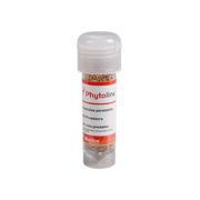 Bioline -Persimilis bugs 2k 30ml Vial