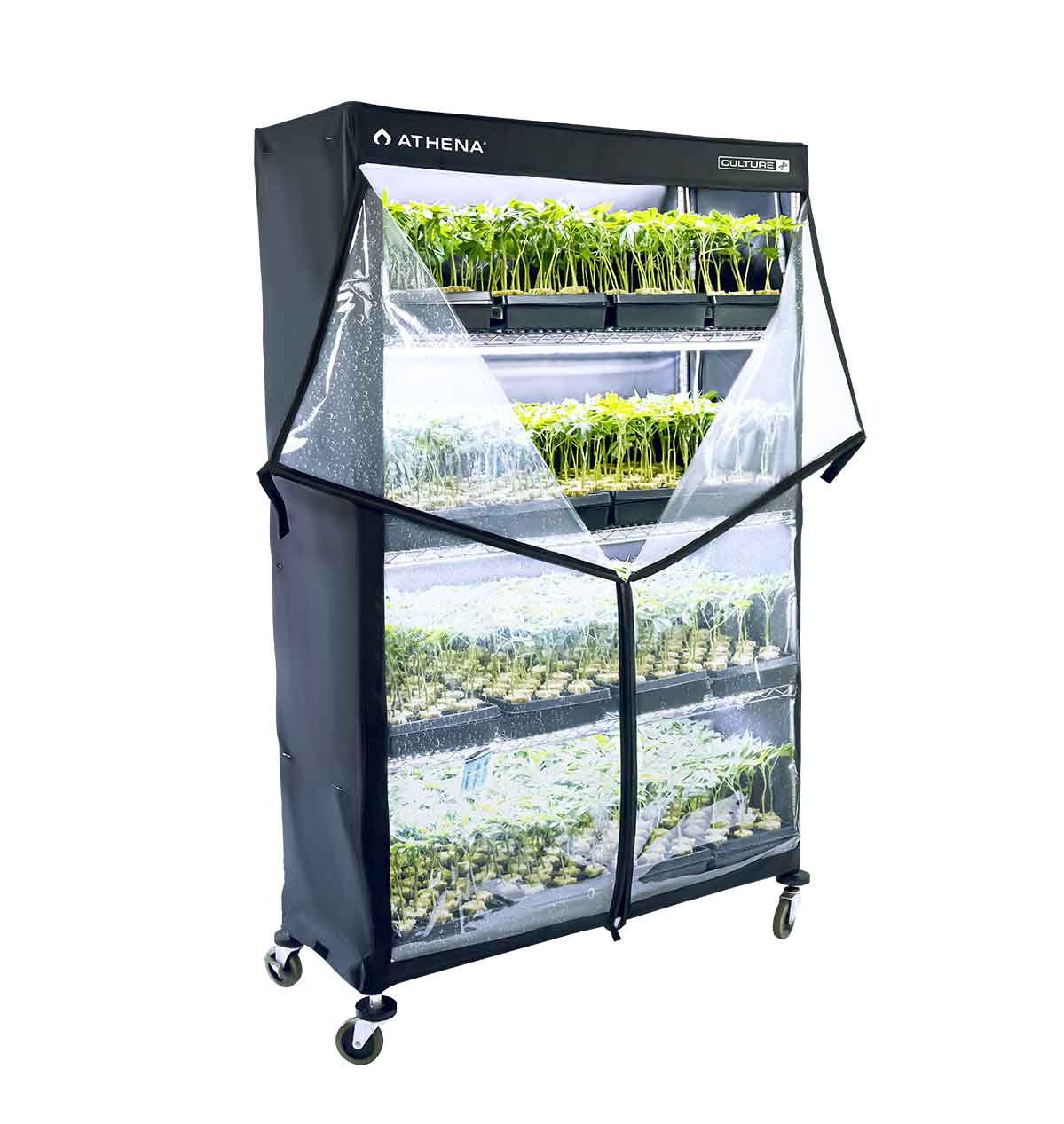 Athena VPD Dome 48x72x16 "