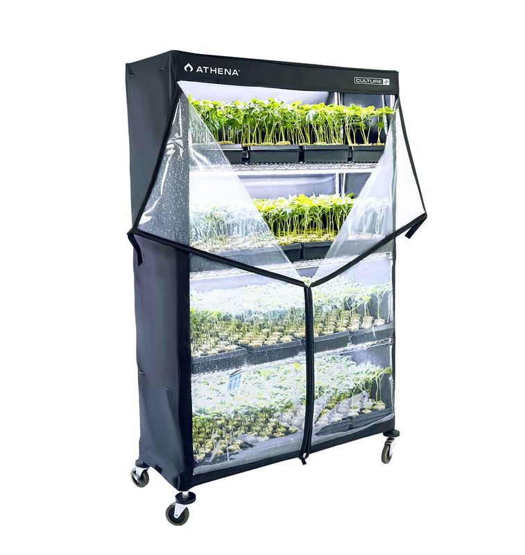 Athena VPD Dome 48x72x16 "