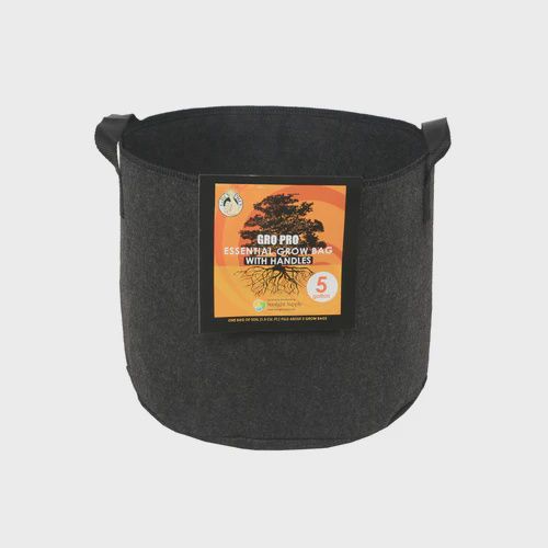 Gro Pro Essential Fabric Pot Black 5 gallon w/handles
