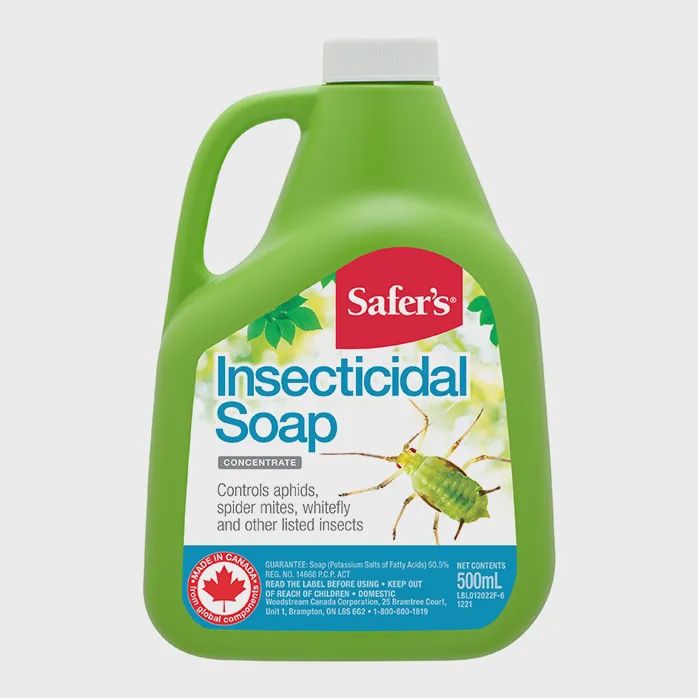 Safers Insecticidal Soap Concentrate 500ml