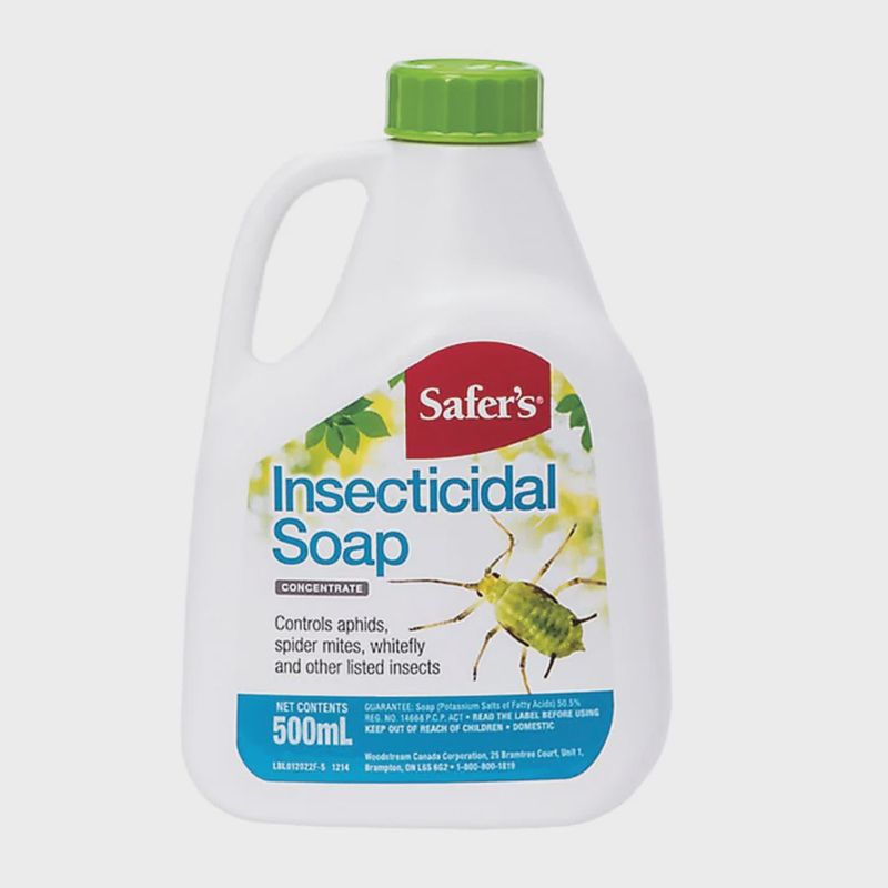 Safers Insecticidal Soap Concentrate 500ml