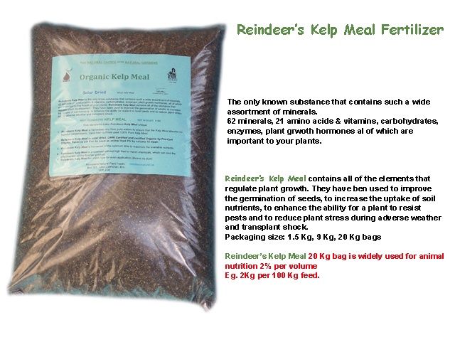 Reindeer Kelp Meal 1.5kg